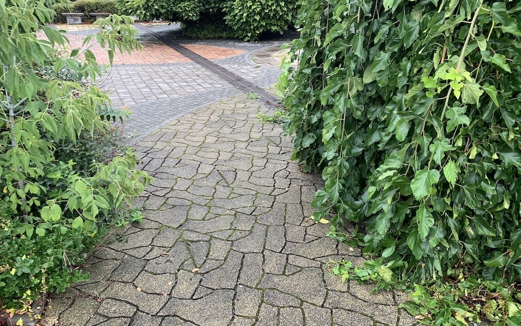 Čištění spár dlažby