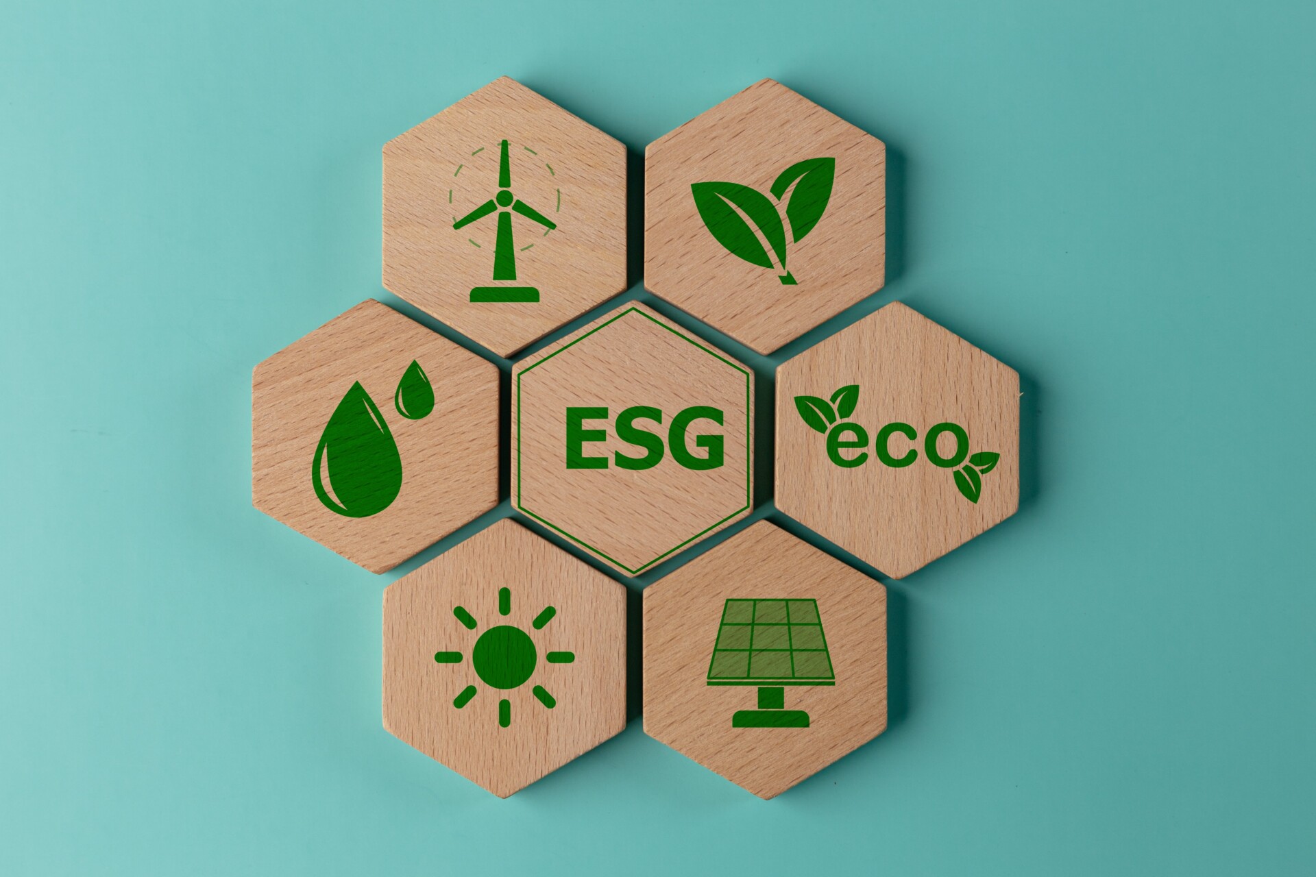 ESG