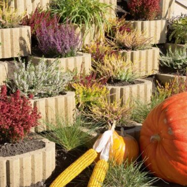 SVAHOVÁ TVÁRNICE HLADKÁ