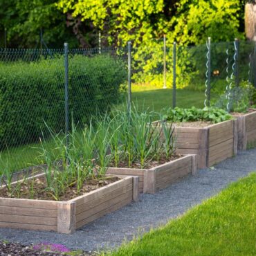 ZVÝŠENÝ ZÁHON 60